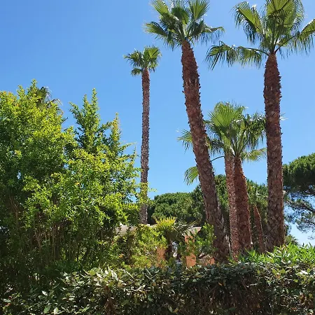 Apartment Location Pour 4 Personnes Presqu Ile De Giens 3 Etoiles *